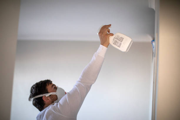 Best Mold Removal Process  in Morrice, MI